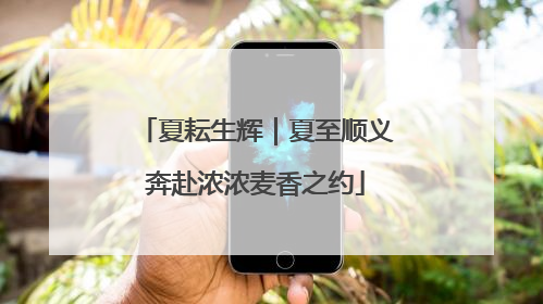 夏耘生辉｜夏至顺义奔赴浓浓麦香之约