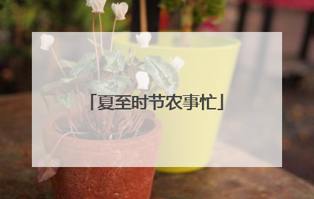 夏至时节农事忙