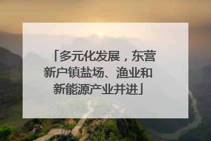 多元化发展，东营新户镇盐场、渔业和新能源产业并进