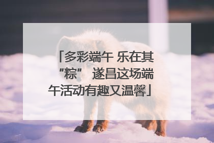 多彩端午 乐在其“粽” 遂昌这场端午活动有趣又温馨