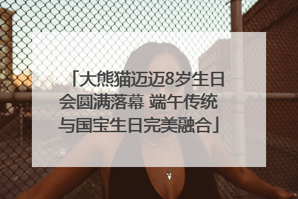 大熊猫迈迈8岁生日会圆满落幕 端午传统与国宝生日完美融合