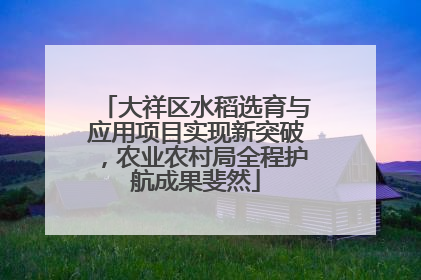 大祥区水稻选育与应用项目实现新突破，农业农村局全程护航成果斐然