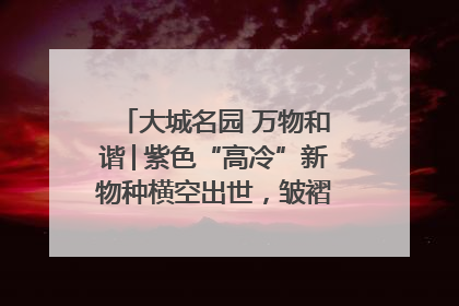 大城名园 万物和谐│紫色“高冷”新物种横空出世，皱褶叶片暗藏进化密码