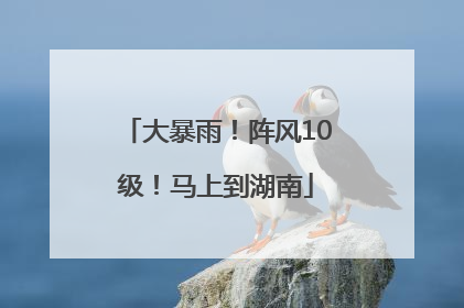 大暴雨！阵风10级！马上到湖南