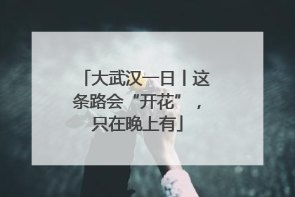 大武汉一日丨这条路会“开花”，只在晚上有