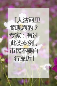 大沽河里惊现海豹？专家：有过此类案例，市民不要自行靠近