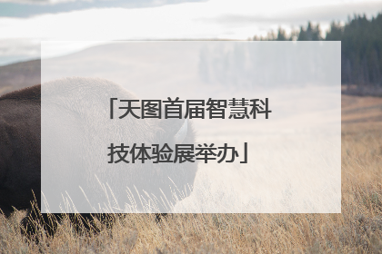 天图首届智慧科技体验展举办