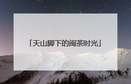 天山脚下的闽茶时光