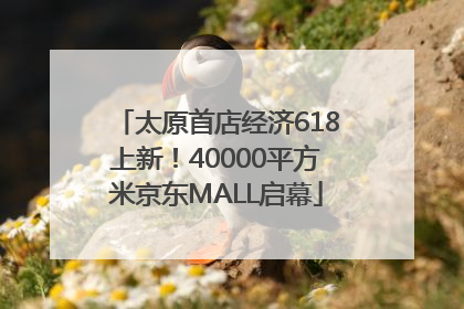 太原首店经济618上新！40000平方米京东MALL启幕