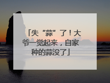 失“蒜”了！大爷一觉起来，自家种的蒜没了