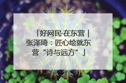 好网民·在东营｜张泽琦：匠心绘就东营“诗与远方”