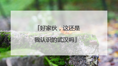 好家伙，这还是我认识的武汉吗