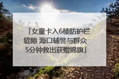 女童卡入6楼防护栏缝隙 海口辅警与群众5分钟救出获赠锦旗