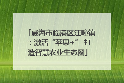 威海市临港区汪疃镇：激活“苹果+” 打造智慧农业生态圈