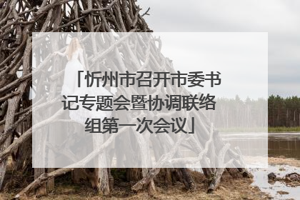 忻州市召开市委书记专题会暨协调联络组第一次会议