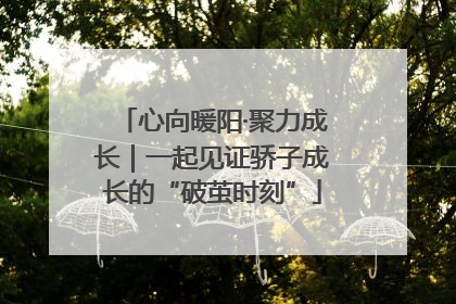 心向暖阳·聚力成长｜一起见证骄子成长的“破茧时刻”