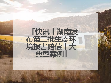 快讯丨湖南发布第三批生态环境损害赔偿十大典型案例