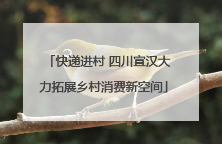 快递进村 四川宣汉大力拓展乡村消费新空间