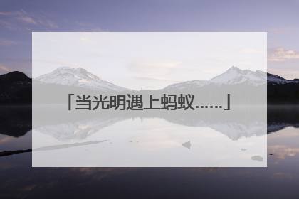 当光明遇上蚂蚁……