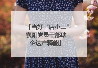 当好“店小二” 襄阳党员干部助企达产释能