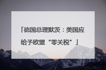 德国总理默茨：美国应给予欧盟“零关税”