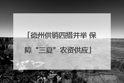 德州供销四措并举 保障“三夏”农资供应