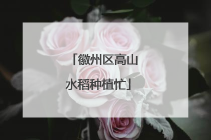 徽州区高山水稻种植忙