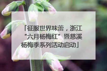 征服世界味蕾，浙江“六月杨梅红”暨慈溪杨梅季系列活动启动