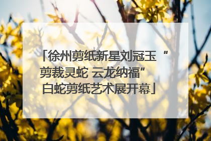 徐州剪纸新星刘冠玉“剪裁灵蛇 云龙纳福” 白蛇剪纸艺术展开幕