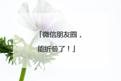 微信朋友圈，能折叠了！