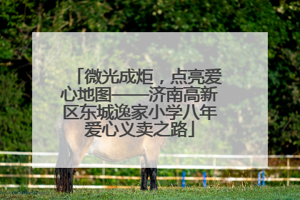 微光成炬，点亮爱心地图——济南高新区东城逸家小学八年爱心义卖之路