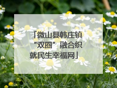 微山县韩庄镇“双圈”融合织就民生幸福网