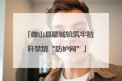 微山县驩城镇筑牢秸秆禁烧“防护网”