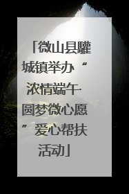 微山县驩城镇举办“浓情端午·圆梦微心愿”爱心帮扶活动