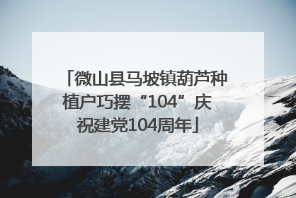 微山县马坡镇葫芦种植户巧摆“104”庆祝建党104周年