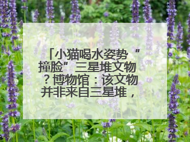 小猫喝水姿势“撞脸”三星堆文物？博物馆：该文物并非来自三星堆，有可能是它