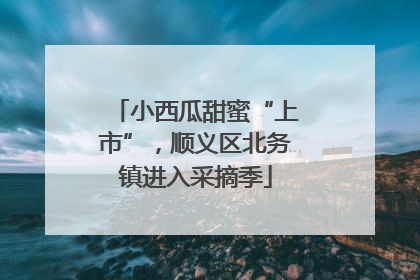 小西瓜甜蜜“上市”，顺义区北务镇进入采摘季