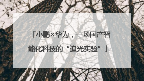 小鹏×华为，一场国产智能化科技的“追光实验”