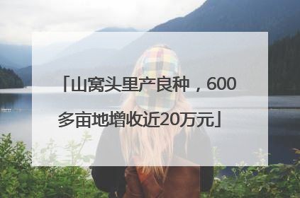 山窝头里产良种，600多亩地增收近20万元