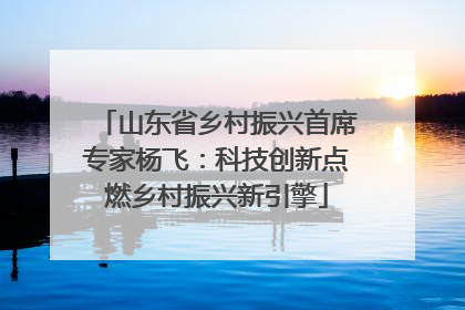 山东省乡村振兴首席专家杨飞：科技创新点燃乡村振兴新引擎