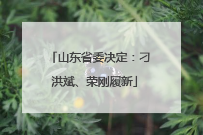 山东省委决定：刁洪斌、荣刚履新