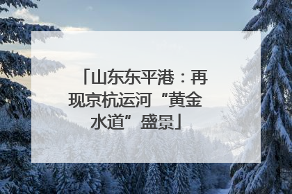 山东东平港：再现京杭运河“黄金水道”盛景