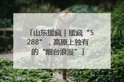 山东援藏｜援藏“5288”，高原上独有的“烟台浪漫”