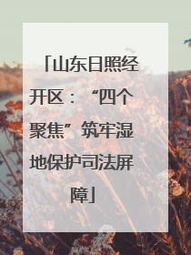 山东日照经开区：“四个聚焦”筑牢湿地保护司法屏障