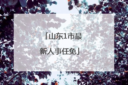 山东1市最新人事任免