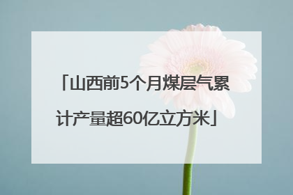山西前5个月煤层气累计产量超60亿立方米