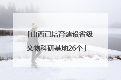 山西已培育建设省级文物科研基地26个