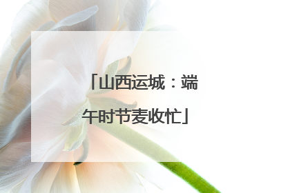 山西运城：端午时节麦收忙