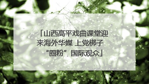 山西高平戏曲课堂迎来海外华媒 上党梆子“圈粉”国际观众
