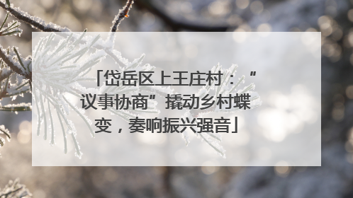 岱岳区上王庄村：“议事协商”撬动乡村蝶变，奏响振兴强音